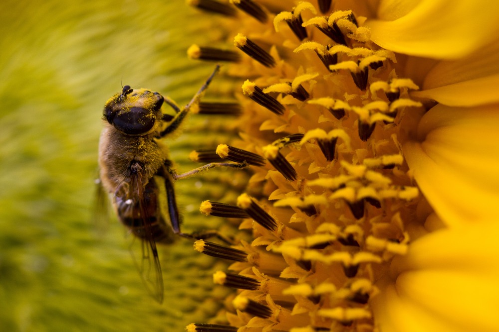 5. Platz Stefan Klughammer